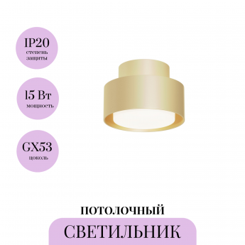 Потолочный светильник MAYTONI SPACE C092CL-GX53-MG Потолочный светильник MAYTONI SPACE C092CL-GX53-MG