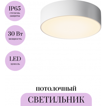 Потолочный светильник MAYTONI ZON IP O431CL-L30W4K Потолочный светильник MAYTONI ZON IP O431CL-L30W4K