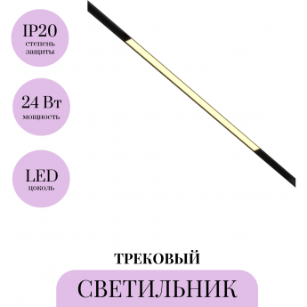 Трековый светильник MAYTONI BASIS TR030-2-24W2.7K-B Трековый светильник MAYTONI BASIS TR030-2-24W2.7K-B